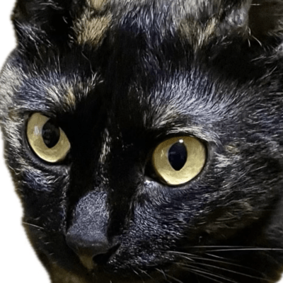 Tsundere Okuro's Happy Life