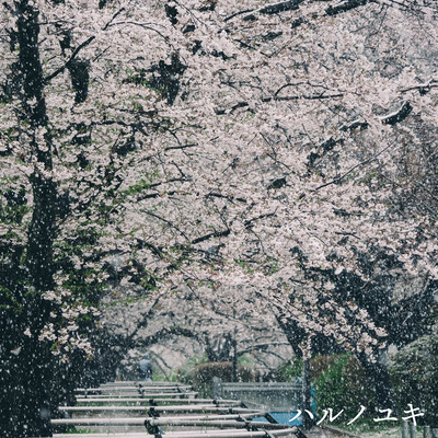 Spring Snow