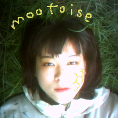 mootoise
