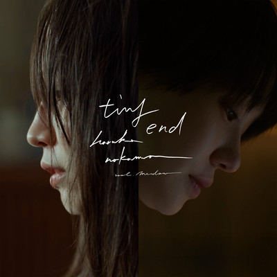 tiny end (vo.Meadow)