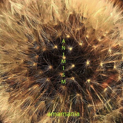 ANIMISM