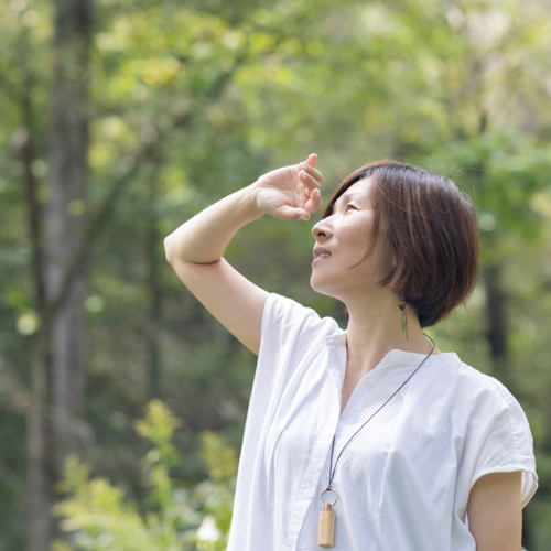 mitsumi