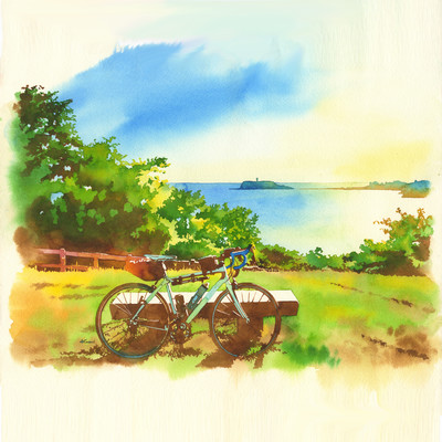 Cycling road of the seaside