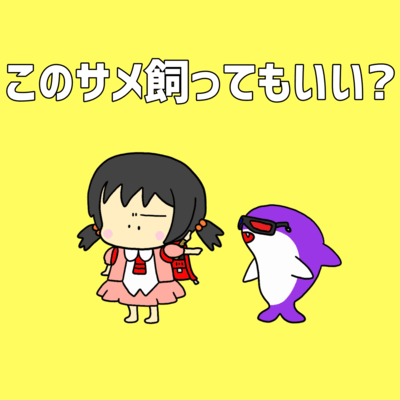 Can I Keep the Shark? with Recorder (feat. Kaai Yuki)