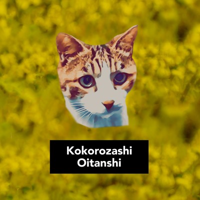 Kokorozashi