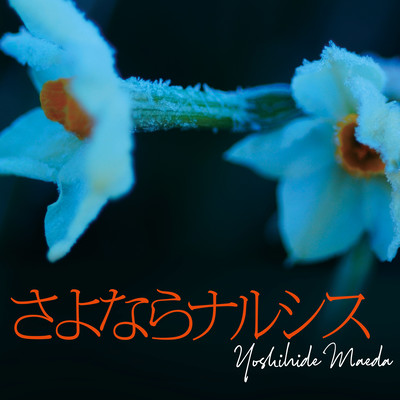 Goodbye Narcissus (feat. Satsuya Iwasawa & Makoto Matsushita)