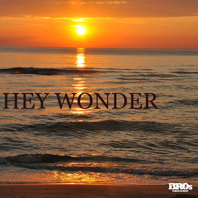 HEY WONDER