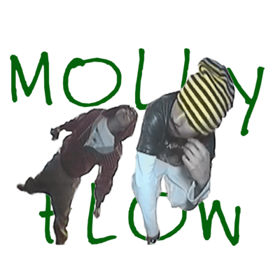 MOLLY FLOW (feat. Tim Pepperoni)