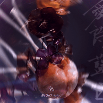 MOMO