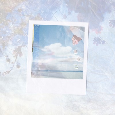 Flower for a Morning