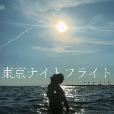 Tokyo Night Flight