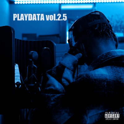 PLAYDATA vol.2.5