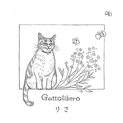 Gattolibero