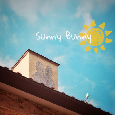 Sunny Bunny