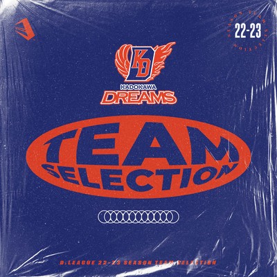 D.LEAGUE 22-23 SEASON - TEAM SELECTION