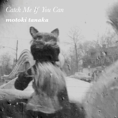 Catch Me If You Can