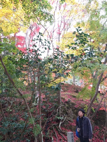 RYOICHI TERADA