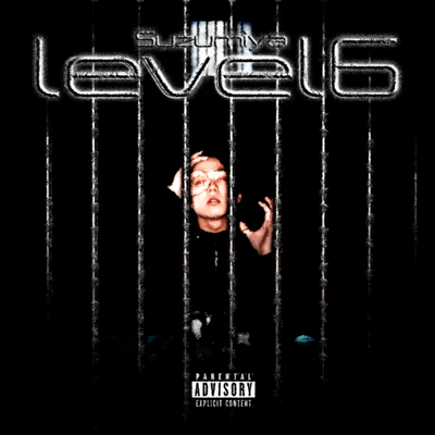 LEVEL 6