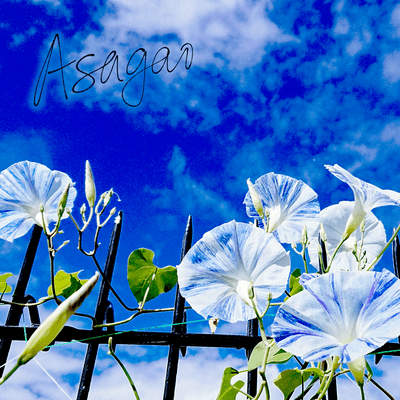 Morning glory (feat. Xeno)