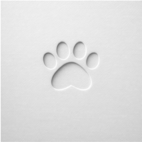 PawSound