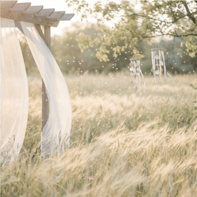 Gentle Breeze