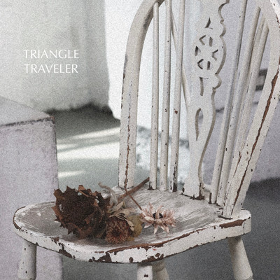 TRIANGLE TRAVELER