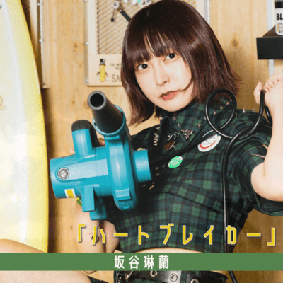 HeartBraker (sakatani solo)