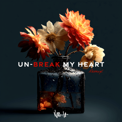 Un-Break My Heart (Remix)