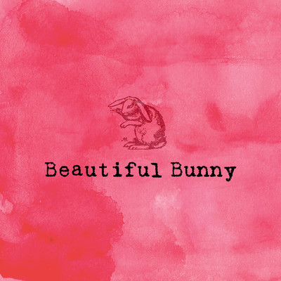 Beautiful Bunny