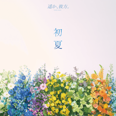 early summer