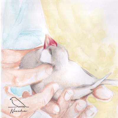 ketsuyoubi-mofuyoubi (2025 Remastered)