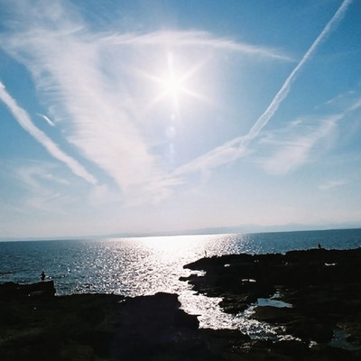 Brand New Flight Experiment