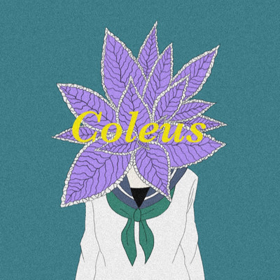 Coleus
