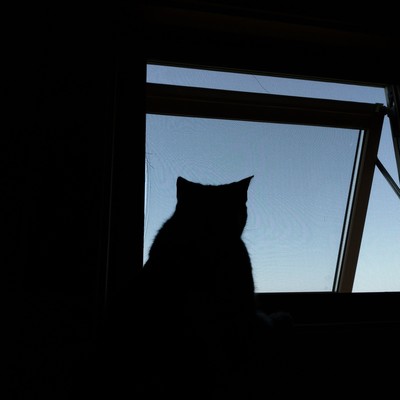 News ha zettai minai