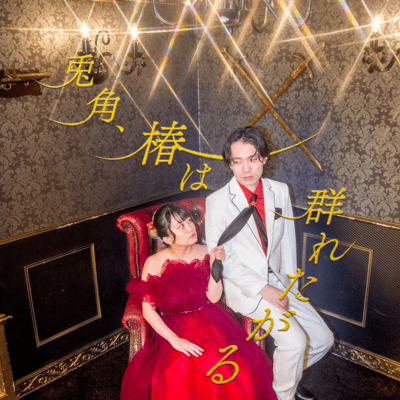 In any case, camellias like to flock together