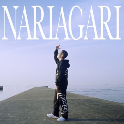 NARIAGARI