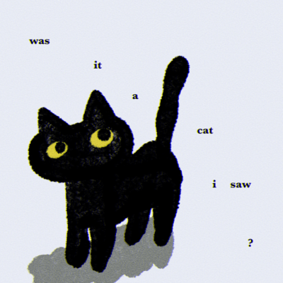 was it a cat i saw