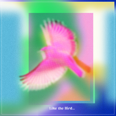 Like the Bird