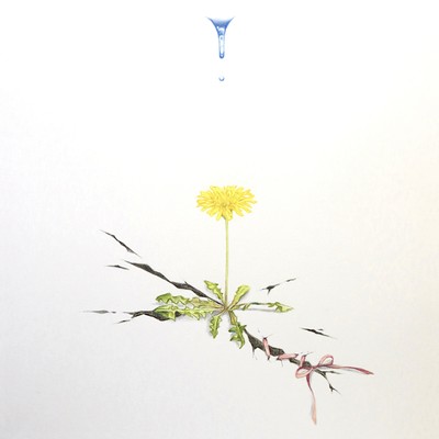 Give me your last smile