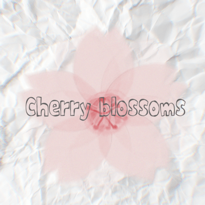 Cherry blossoms (feat. KASANE TETO)