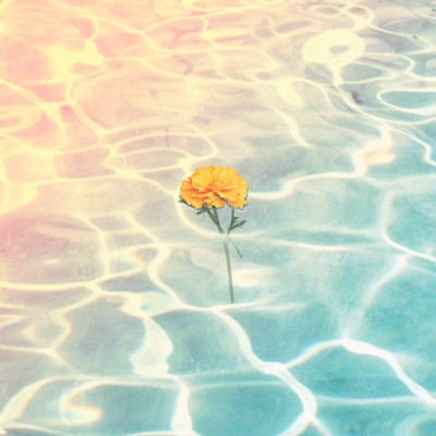 lonely