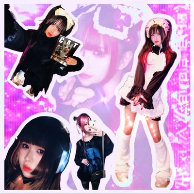 Super Happy Airplane Cat