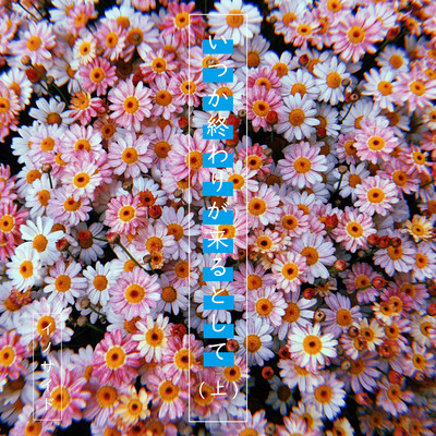 Itsukaowarigakurutoshitejou