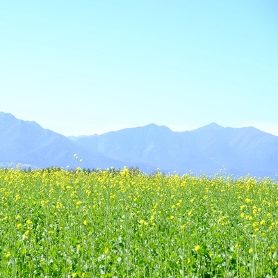 Song of the Heart Sing (Remix2025)