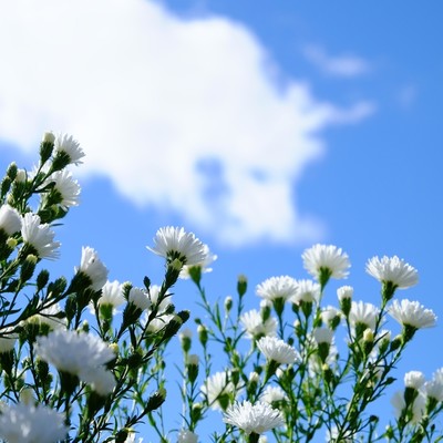 Street corners shine