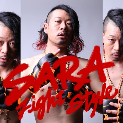 Fight Style