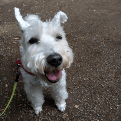 The world without you