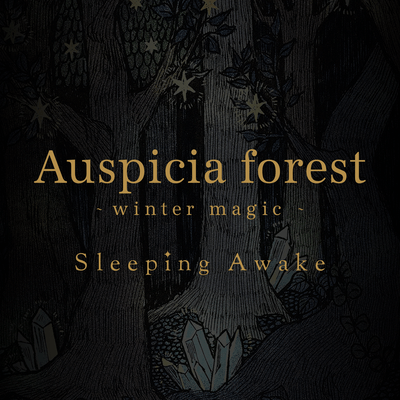Auspicia forest (winter magic)