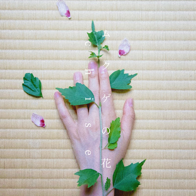 Rose of Sharon