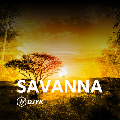 Savanna